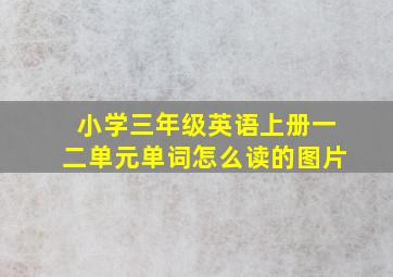 小学三年级英语上册一二单元单词怎么读的图片