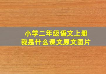 小学二年级语文上册我是什么课文原文图片