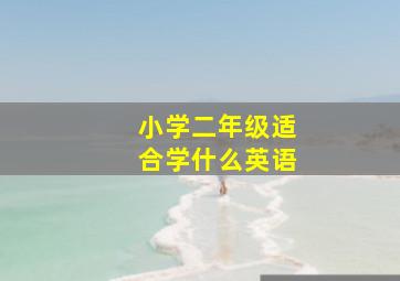 小学二年级适合学什么英语