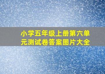 小学五年级上册第六单元测试卷答案图片大全