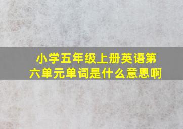 小学五年级上册英语第六单元单词是什么意思啊