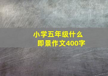 小学五年级什么即景作文400字