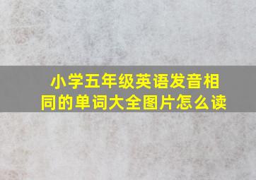 小学五年级英语发音相同的单词大全图片怎么读