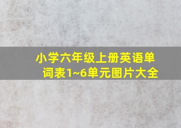 小学六年级上册英语单词表1~6单元图片大全