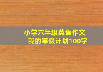 小学六年级英语作文我的寒假计划100字