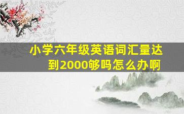 小学六年级英语词汇量达到2000够吗怎么办啊