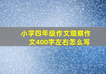 小学四年级作文观察作文400字左右怎么写