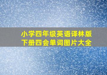 小学四年级英语译林版下册四会单词图片大全