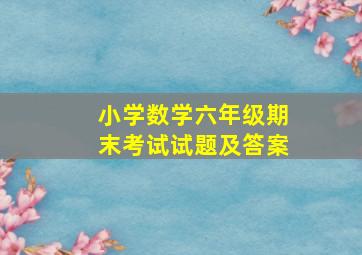 小学数学六年级期末考试试题及答案