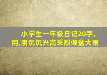 小学生一年级日记20字,用,阴沉沉兴高采烈倾盆大雨