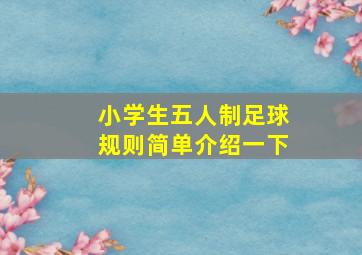 小学生五人制足球规则简单介绍一下