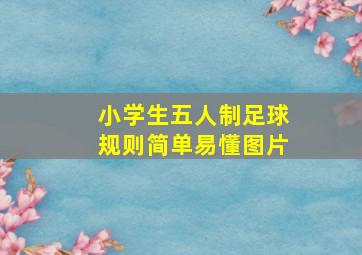 小学生五人制足球规则简单易懂图片