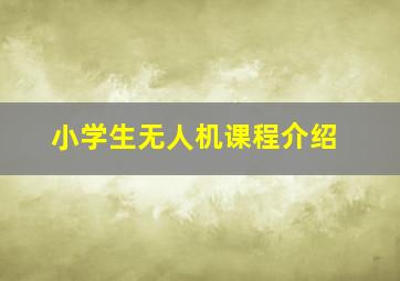 小学生无人机课程介绍