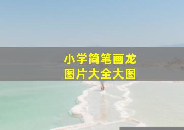 小学简笔画龙图片大全大图