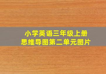 小学英语三年级上册思维导图第二单元图片