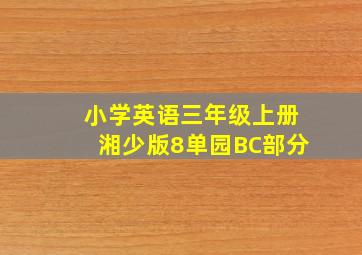 小学英语三年级上册湘少版8单园BC部分