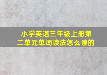 小学英语三年级上册第二单元单词读法怎么读的