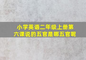 小学英语二年级上册第六课说的五官是哪五官呢