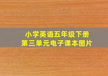 小学英语五年级下册第三单元电子课本图片