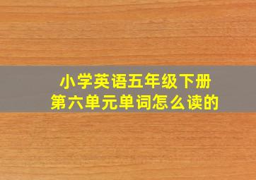 小学英语五年级下册第六单元单词怎么读的