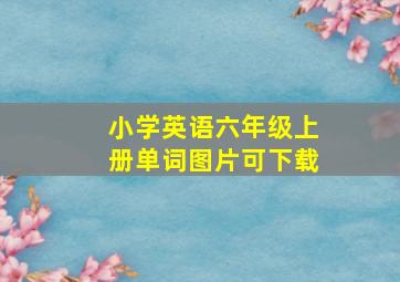 小学英语六年级上册单词图片可下载