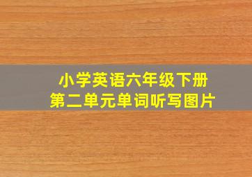 小学英语六年级下册第二单元单词听写图片