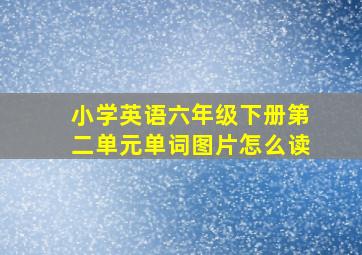 小学英语六年级下册第二单元单词图片怎么读