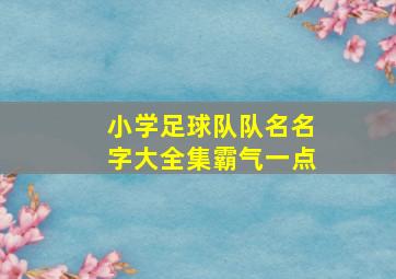 小学足球队队名名字大全集霸气一点