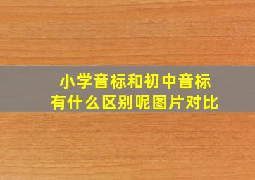 小学音标和初中音标有什么区别呢图片对比