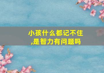 小孩什么都记不住,是智力有问题吗