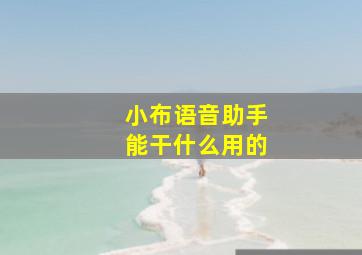 小布语音助手能干什么用的