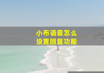 小布语音怎么设置回复功能