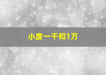 小度一千和1万