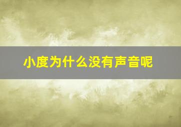 小度为什么没有声音呢