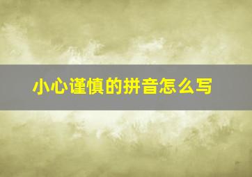 小心谨慎的拼音怎么写