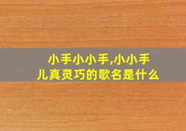 小手小小手,小小手儿真灵巧的歌名是什么