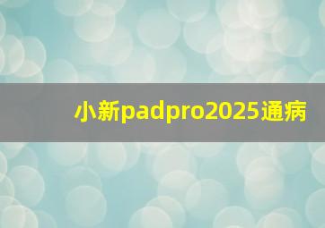 小新padpro2025通病