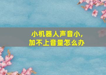 小机器人声音小,加不上音量怎么办