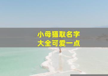 小母猫取名字大全可爱一点