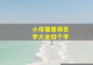 小母猫叠词名字大全四个字