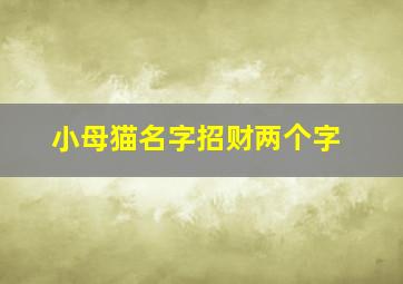 小母猫名字招财两个字