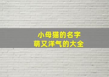 小母猫的名字萌又洋气的大全