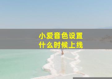 小爱音色设置什么时候上线