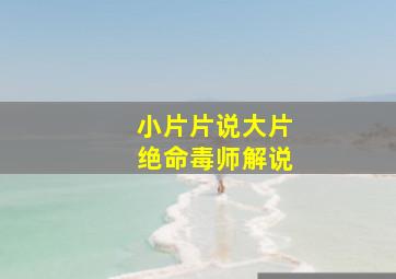 小片片说大片绝命毒师解说