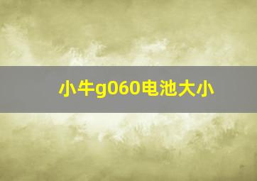 小牛g060电池大小