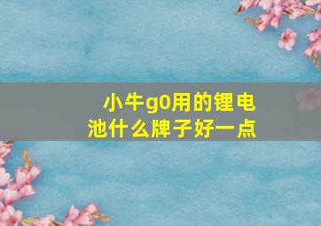 小牛g0用的锂电池什么牌子好一点