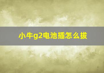 小牛g2电池插怎么拔