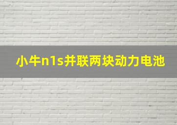 小牛n1s并联两块动力电池