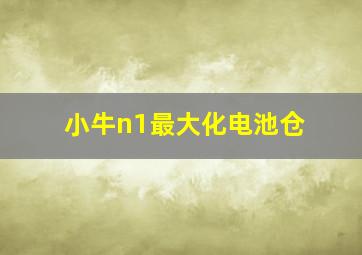 小牛n1最大化电池仓