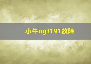 小牛ngt191故障